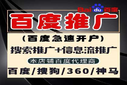 网络推广中的竞价广告：成功案例解析